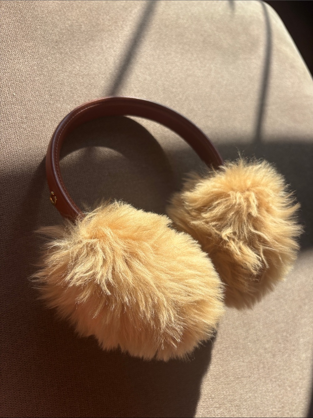 Coach ear muffs
